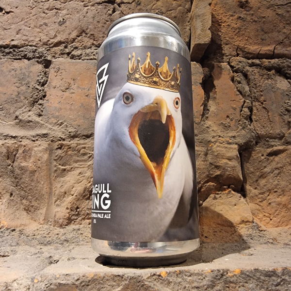 Azvex: Seagull King