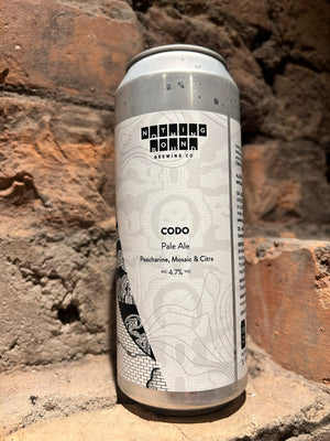 Nothing Bound: Codo